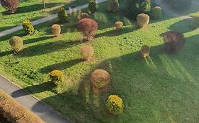 Apartament Roanta